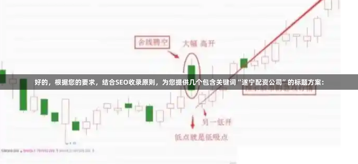 好的，根据您的要求，结合SEO收录原则，为您提供几个包含关键词“遂宁配资公司”的标题方案：