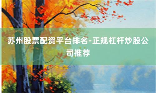 苏州股票配资平台排名-正规杠杆炒股公司推荐